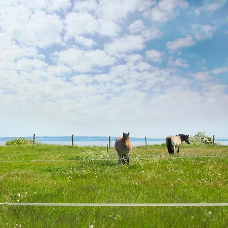 Lejlighed Ferienwohnung Am Hochzeitsberg Nummer 17